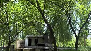 Nature Live This Short Yet Powerful Clip Captum