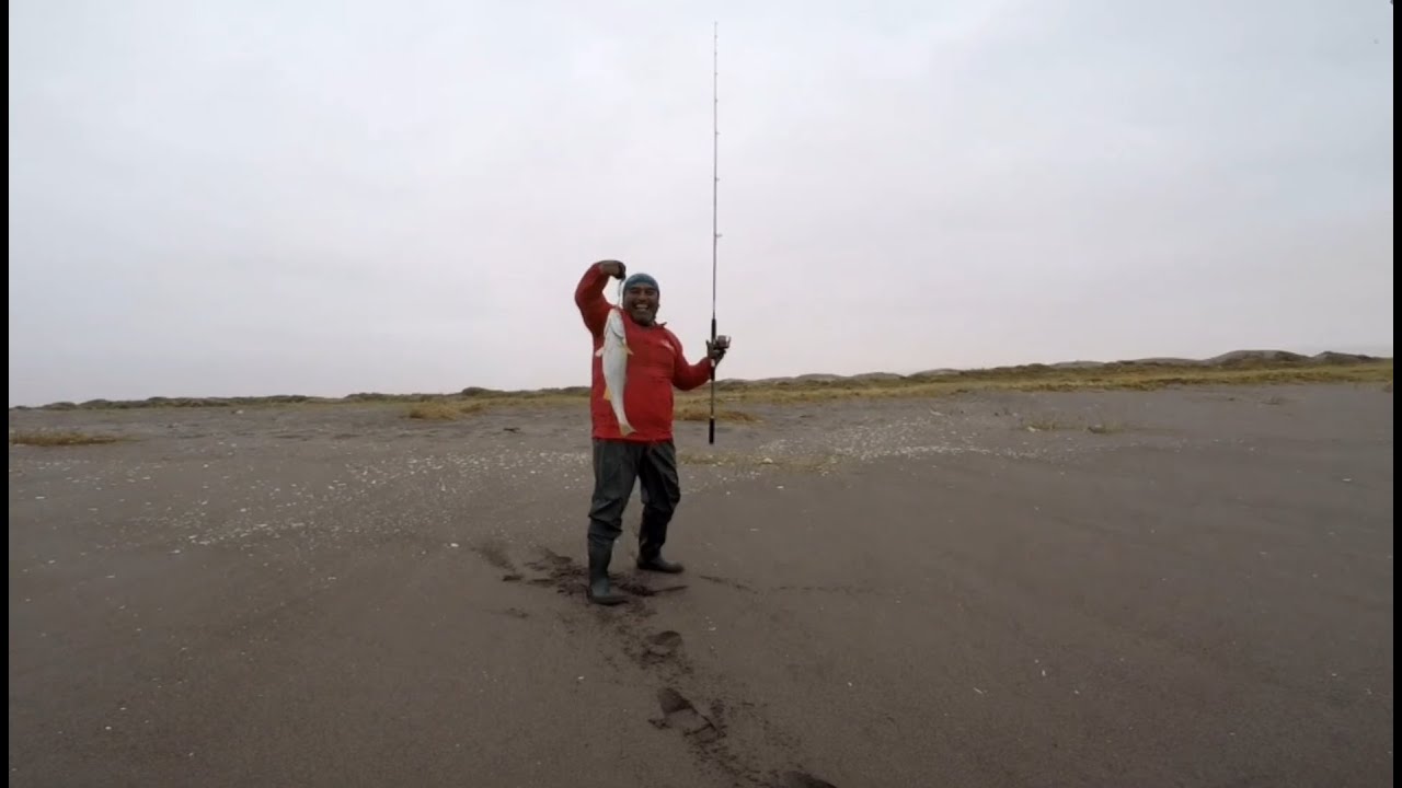 Entretenida jornada de Pesca de Corvinas con Chispas en Sector Playa Las Machas Arica