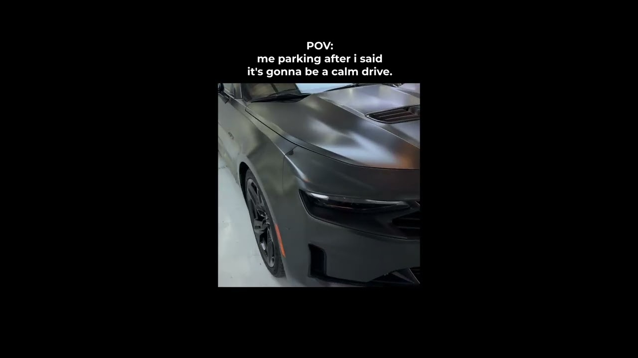 POV: CALM DRIVE… RIGHT 😂🔥 