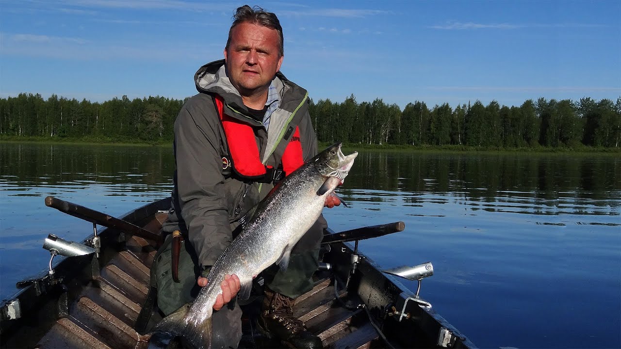 Pello in Lapland Fishing Capital of Finland Tornio River Salmon fishing and lake fishing