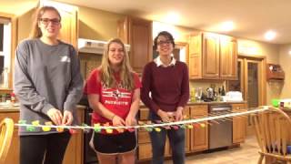 Physics Wave Machine Demonstration