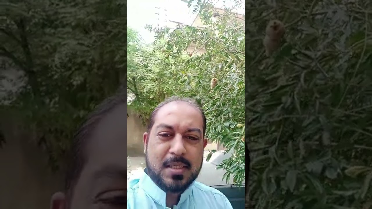 Chali sahnwa di hanairi do anar hel gaye