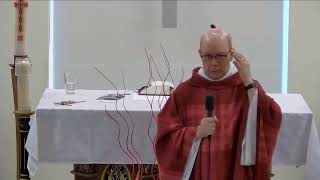 Homily for May 24, 2026
