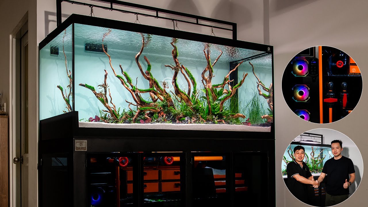 Ngắm Hồ Công Nghệ 1m55 68 68 chơi BIOTOP view chill nhất tại chung cư Quận 8 | Jarvis Tank