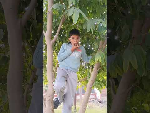 Bacha kya ker reha he 😯 #comedy #shortsfeed #magic