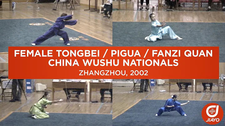 Female Tongbei Pigua Fanzi Quan - 2002 China Wushu...
