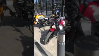 New SCRAMBLER 800 press test Valencia #ducati #desmo #scrambler #shorts #valencia