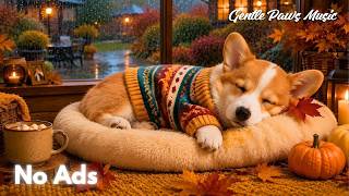 12 HOURS Calming Music for Dogs 🐶⭐Soothing Melodies for Anxious Pets🐾Peaceful Rest & Deep Sleep💤