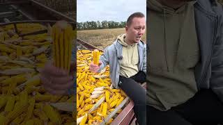 #agro #automobile #ротоватор #smartphone #агротехнологии #farming #агробізнес #agriculture #соняшник
