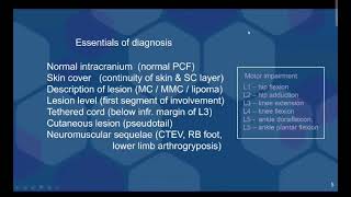 Closed spinal dysraphism. fetal spectrum