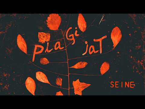 SEINE - Plagijat (Official Video)