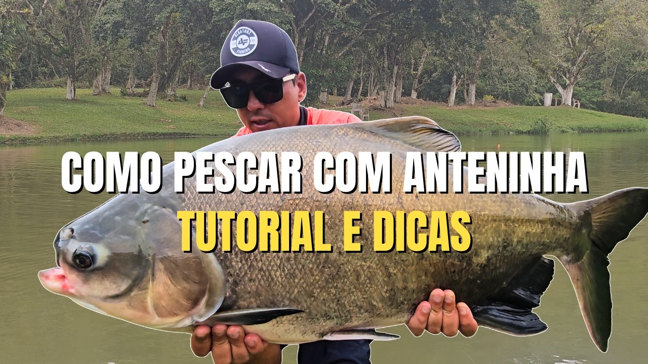 [DICAS] COMO PESCAR COM ANTENINHA E MANHOSINHO