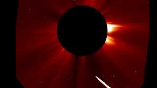 Comet ISON lives! - 11-28-2013