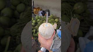 Download Lagu Amazing Coconut Cutting Skills #shorts MP3 Download Lagu Amazing Coconut Cutting Skills #shorts MP3