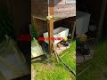 LiFePo ist das beste deshalb mehr davon ;) 100% Sonnenenergie