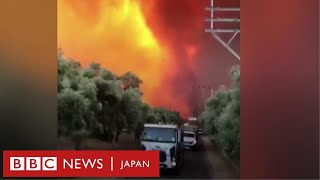沿岸部に炎が迫り……ボートで脱出　トルコ観光地で山火事相次ぐ
