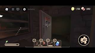 An Annoying Bug In Doors