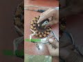 pankha kaise theek Karen #fan #shortvideo #youtubeshorts #shorts