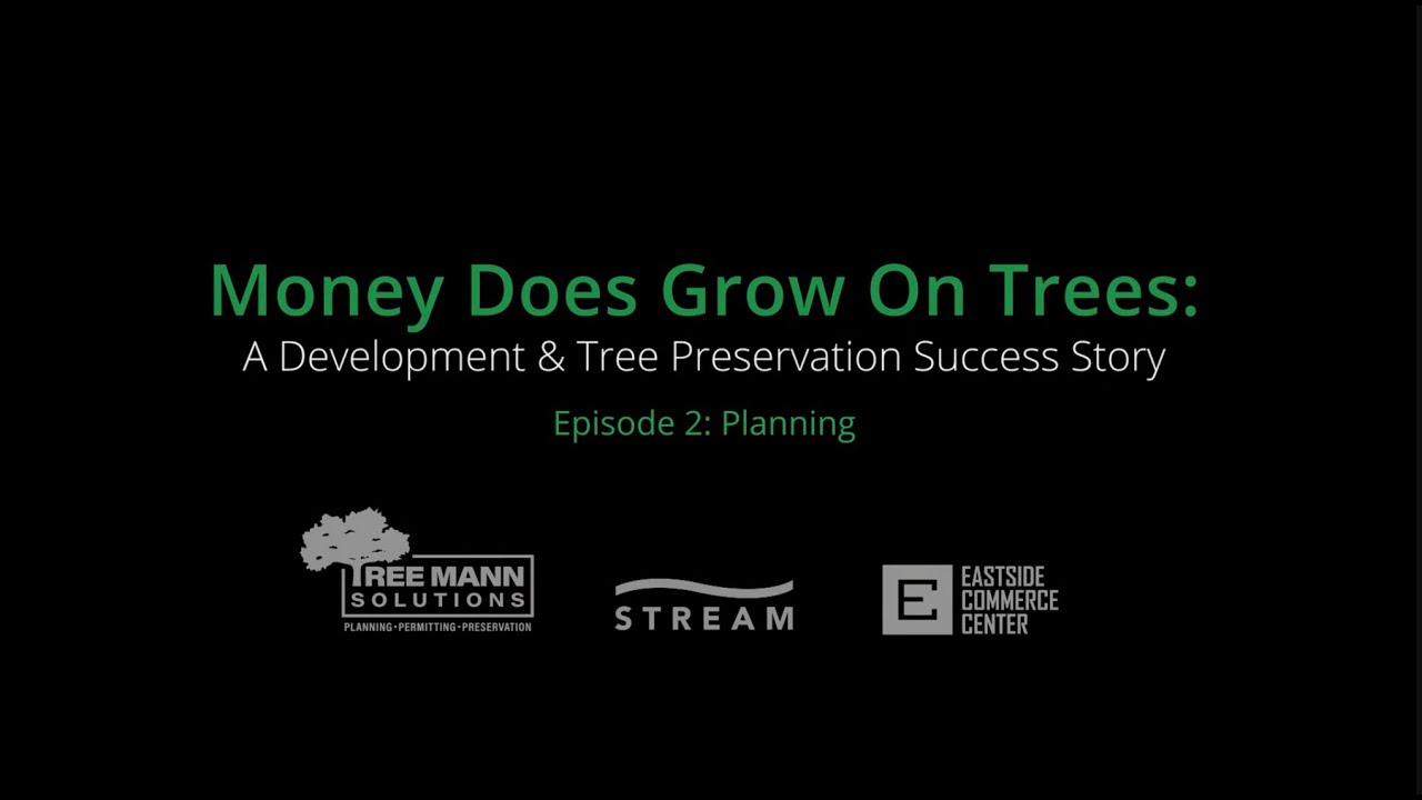 Money Does Grow On Trees | Episode 2: Planning