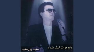 Negar - Saeid Poursaeid