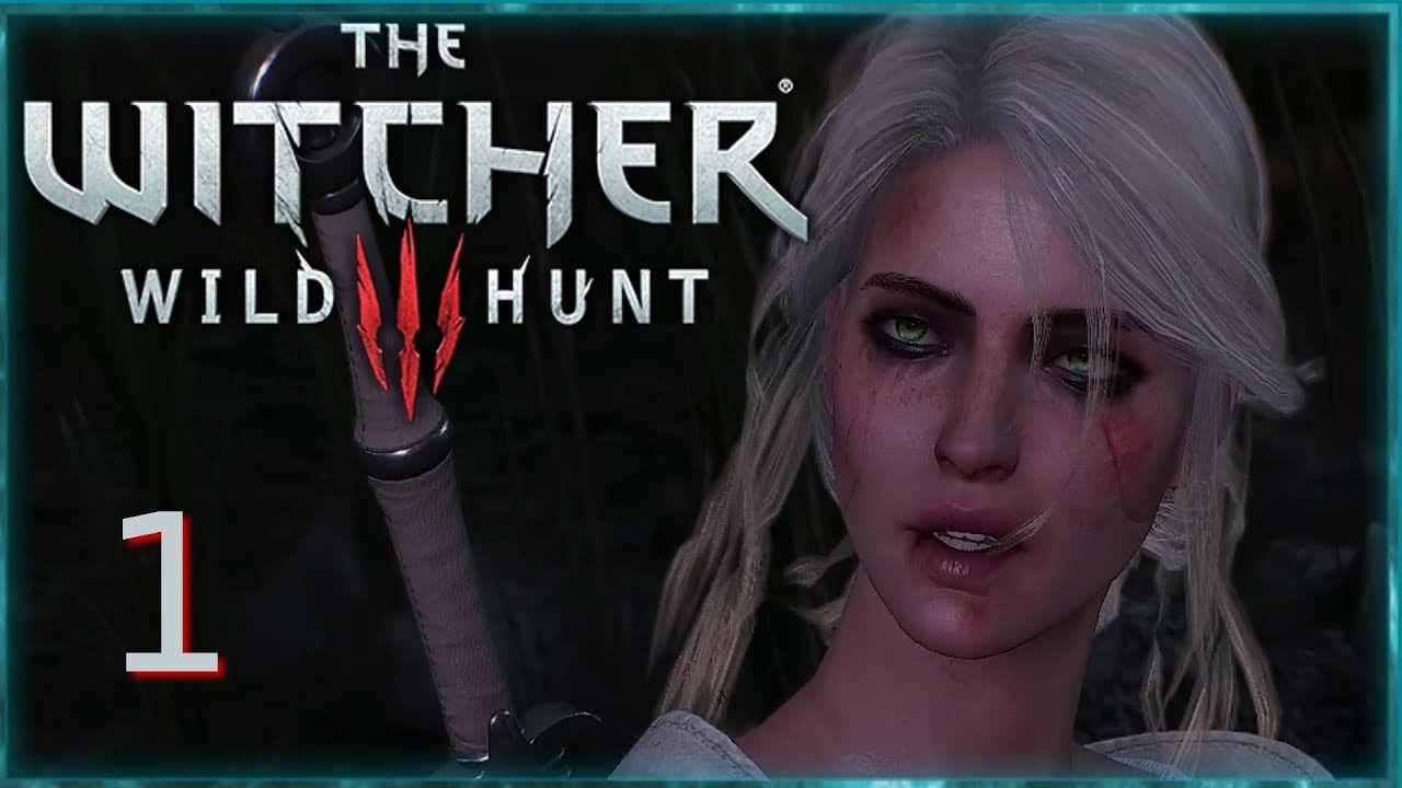 Lets Play The Witcher 3 Wild Hunt Folge 1 Der Wolfskonig Ciri Rtx 2070 Sernicke Youtube The Witcher Wild Hunt The Witcher 3