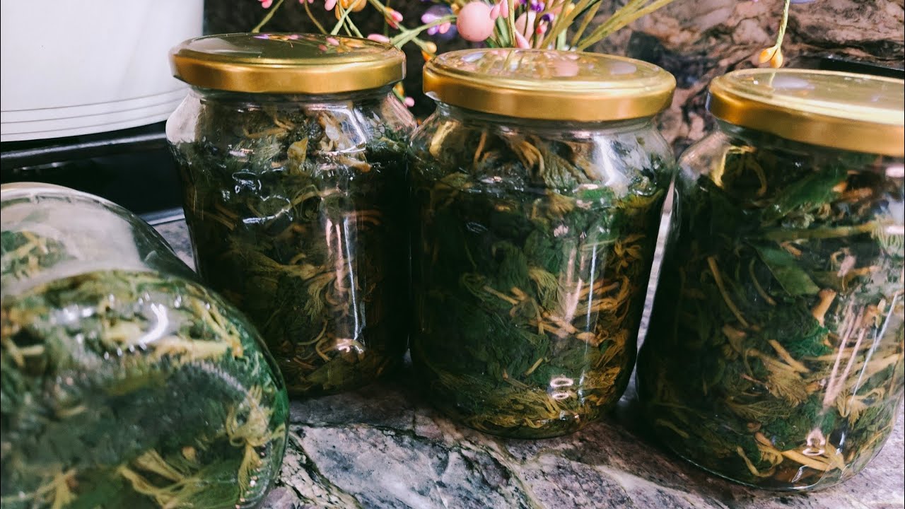 Urzica conservata pentru iarna pe timp lung Vitamine pentru organizmul. Perfecta pentru sănătate .