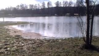 VIDEO0013.3gp