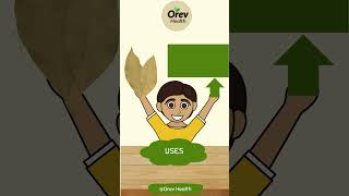 Experience Culinary Elegance With Orev Health Organic Bay Leaves