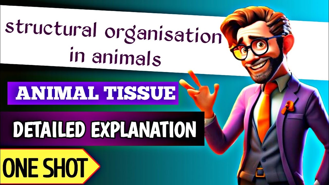structural organisation in animals | Animal tissue | neet 2025 - YouTube