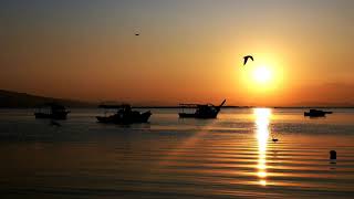 Download Lagu Background Video Senja Pantai Indah MP3