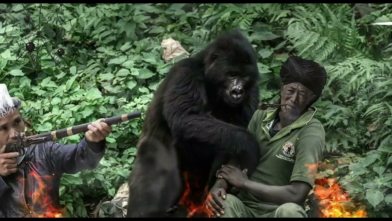 Tua Dab Phim Nyuj Vais Txaus  Ntshai (PART 91)