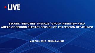 LIVE: Second “Deputies’ passage” Group Interview of the Fourth Session of the 14th NPC