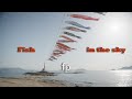 Sea breeze/ SIGMA fp CinemaDNG 12bit RAW/SIGMA 24-70mm F2.8 DGDN | Art