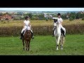 Традиционные соревнования по конным видам спорта на приз главы городского округа Зарайск