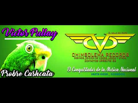 VICTOR PULLAY (( EL CONQUISTADOR DE LA MUSICA NACIONAL )) Audio _ Oficial