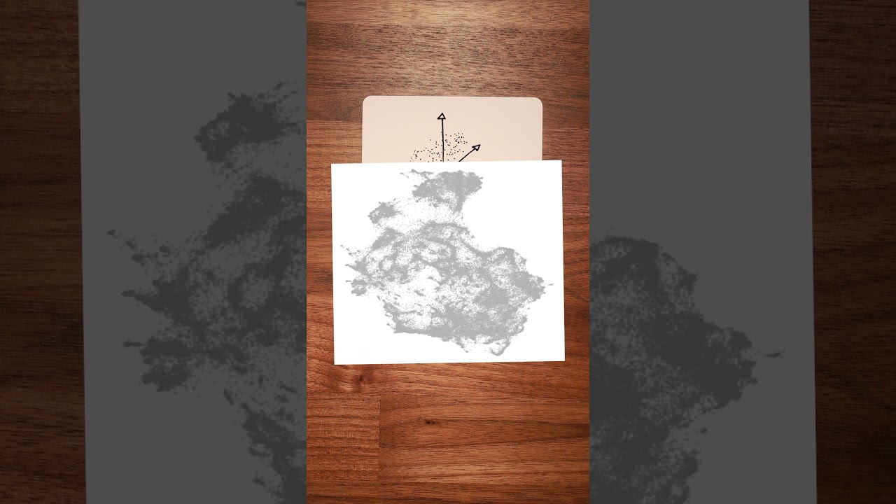 How AI models see the world.