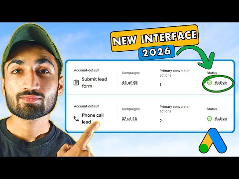 full SEO campaign for niche websites