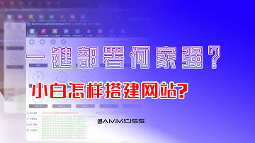 宝塔(bt)/phpstudy(小皮面板)/upupw/一键部署环境软件哪个好?小白建站用比较合适?本地用那个环境比较稳定?|第95期