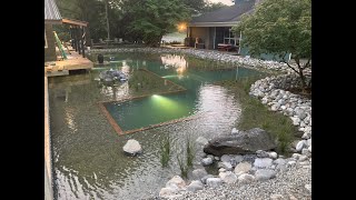 Natural Pool 9months DIY complete construction.