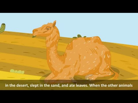 Chapter 5 - How the Camel Got his Hump - English Coach 4