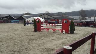 Stald Solvangs Orkidé