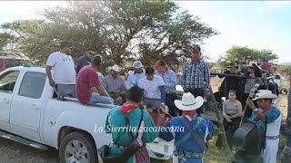 Jaripeo La Casita Fresnillo 13/05/2024🐂🐄