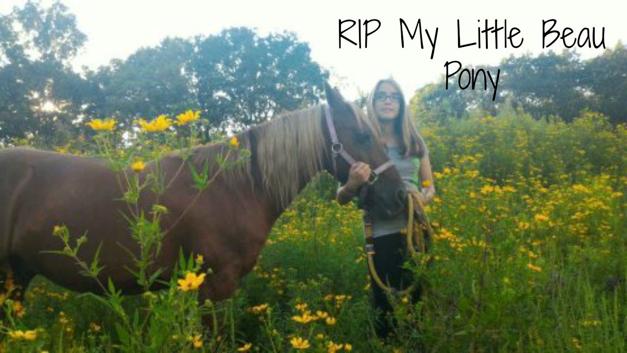 RIP My Little Beau Pony - YouTube