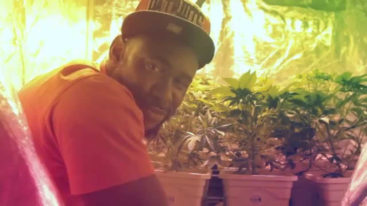 Download ShoTunez - I Smoke Weed (OFFICIAL VIDEO) Original Version