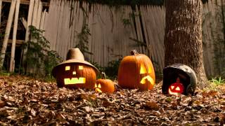 2014 Pumpkin Movie