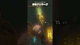【ティアキン】ミナッカレ平原の雷電グリオーク　ゼルダの伝説ティアーズオブザキングダムNintendo Switch 2 Edition #zelda #shorts