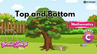 Top and Bottom | Maths Class C | Chapter 4 | IP Study