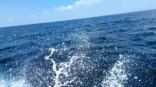 video 1531839052