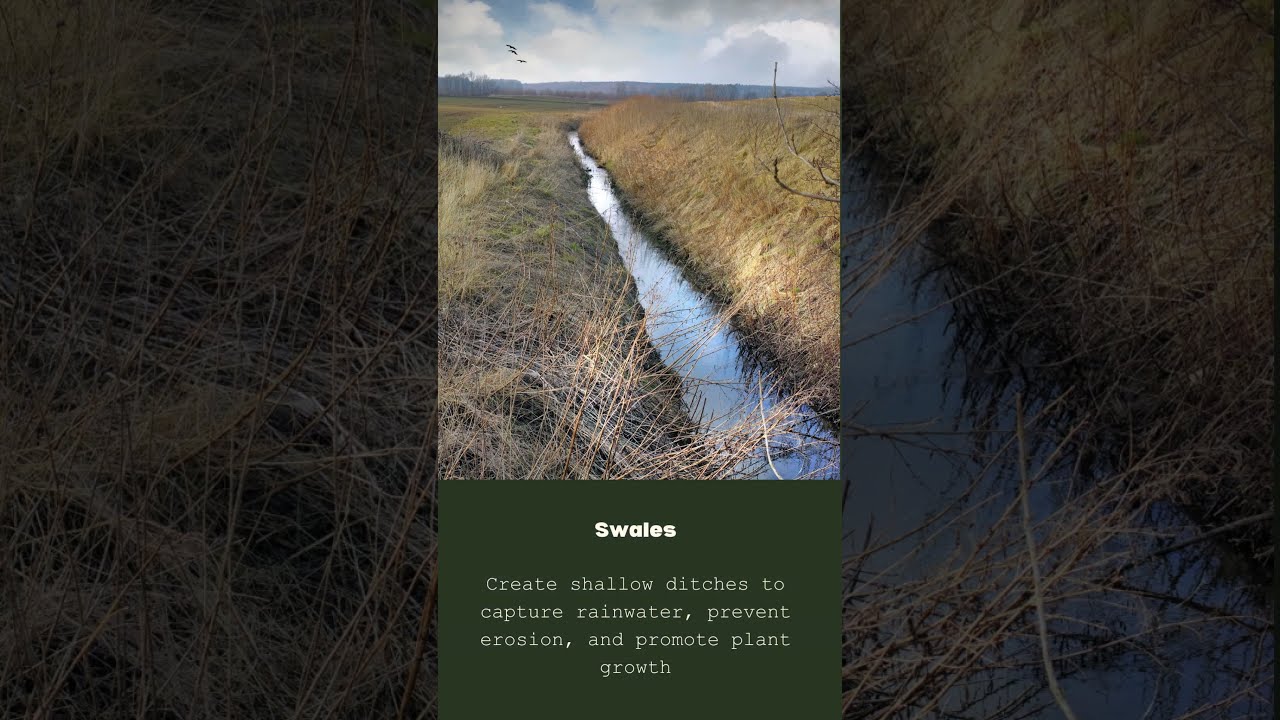 Water saving techniques