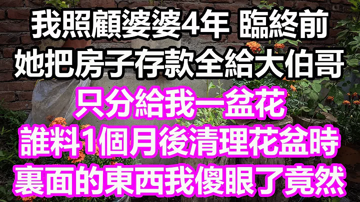 我照顧婆婆4年，臨終前，她把房子存款全留給大伯哥，只分給我一盆花，誰料1個月後清理花盆時，裏面的東西我傻眼了，竟然...#淺談人生#為人處世#生活經驗#情感故事#養老#花開富貴#深夜淺讀#幸福人生 - 天天要聞